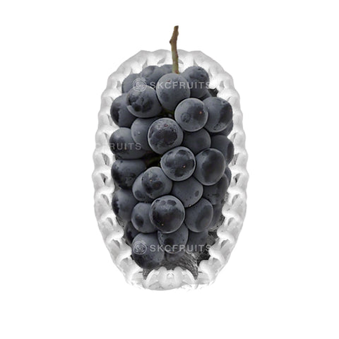 Kyoho Grapes Kyoho Grapes