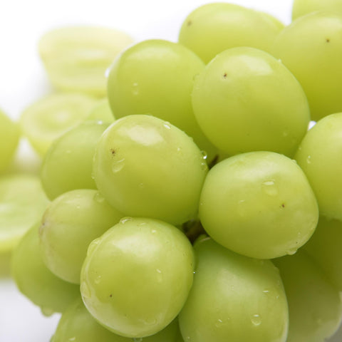 Japanese Shine Muscat Green Grapes Japanese Shine Muscat Green Grapes