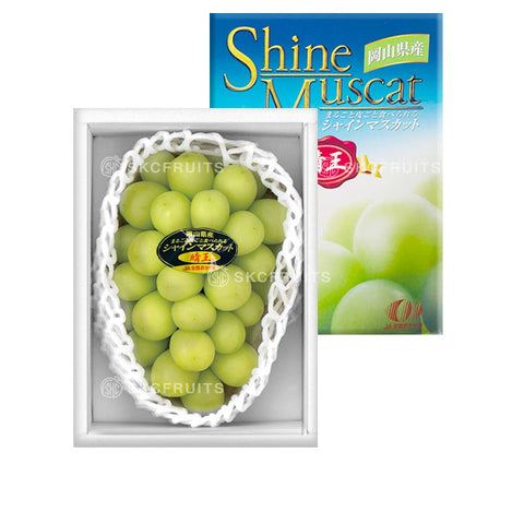 Japanese Shine Muscat Green Grapes Japanese Shine Muscat Green Grapes