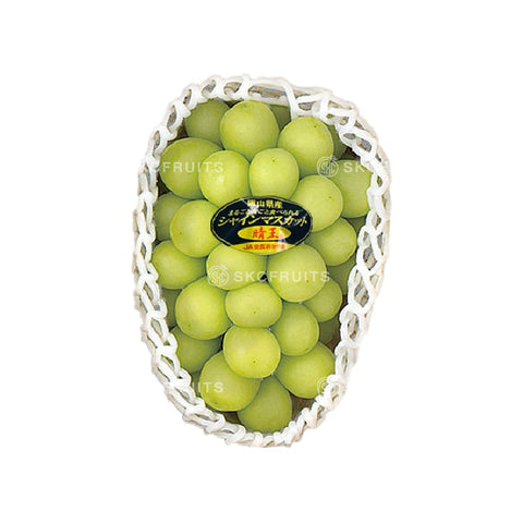 Japanese Shine Muscat Green Grapes Japanese Shine Muscat Green Grapes