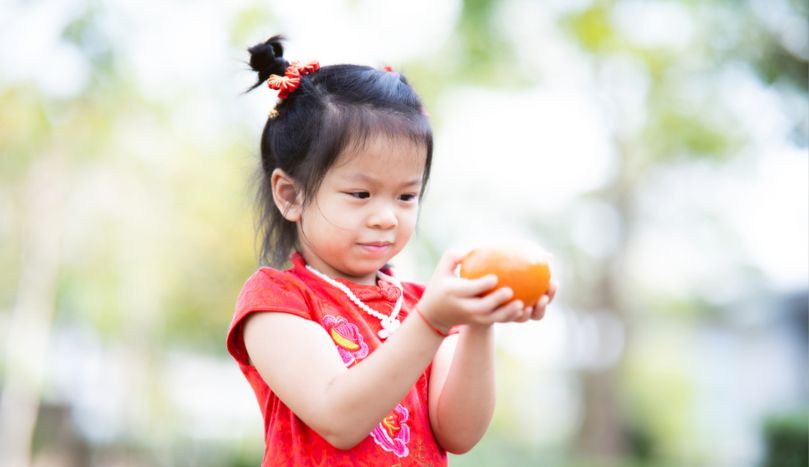Adorable young Asian girl dressed in a vibrant red cheongsam, celebrating Chinese New Year, holding a fresh mandarin orange while gazing at it with wonder and excitement