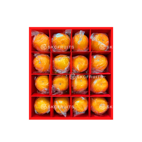 (Popular Choice) Taiwan Ponkan Oranges ABC Ponkan 台湾椪柑 16 larger pcs