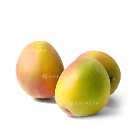 R2E2 Mango