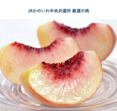 Yamanashi Hikawa Hakuhou White Peach