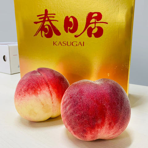 Kasugai Hikawa Hakuhou White Peach