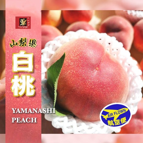 Yamanashi Hikawa Hakuhou White Peach