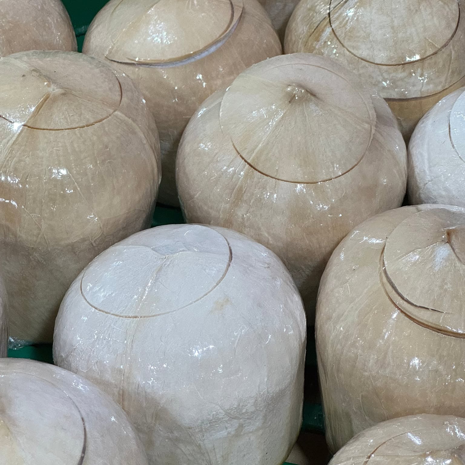 Best coconut water Singapore option from fresh Thai coconut
