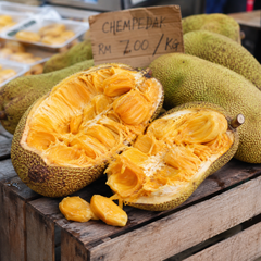 Cempedak