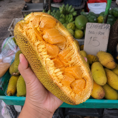 Cempedak