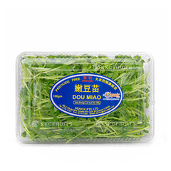 Organic Pea Sprouts