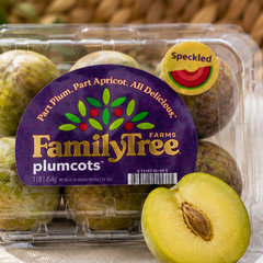 Fresh Family Tree Farms Speckled Plumcots imported from California, USA, naturally sweet hybrid stone fruit with green speckled skin.