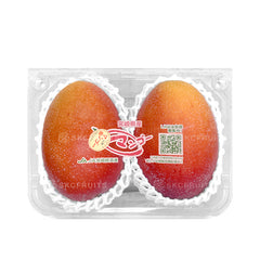 Miyazaki Kanjuku Mango