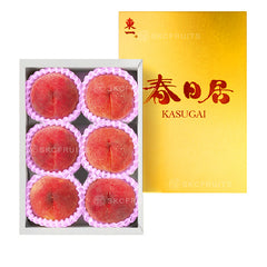 Kasugai Hikawa Hakuhou White Peach