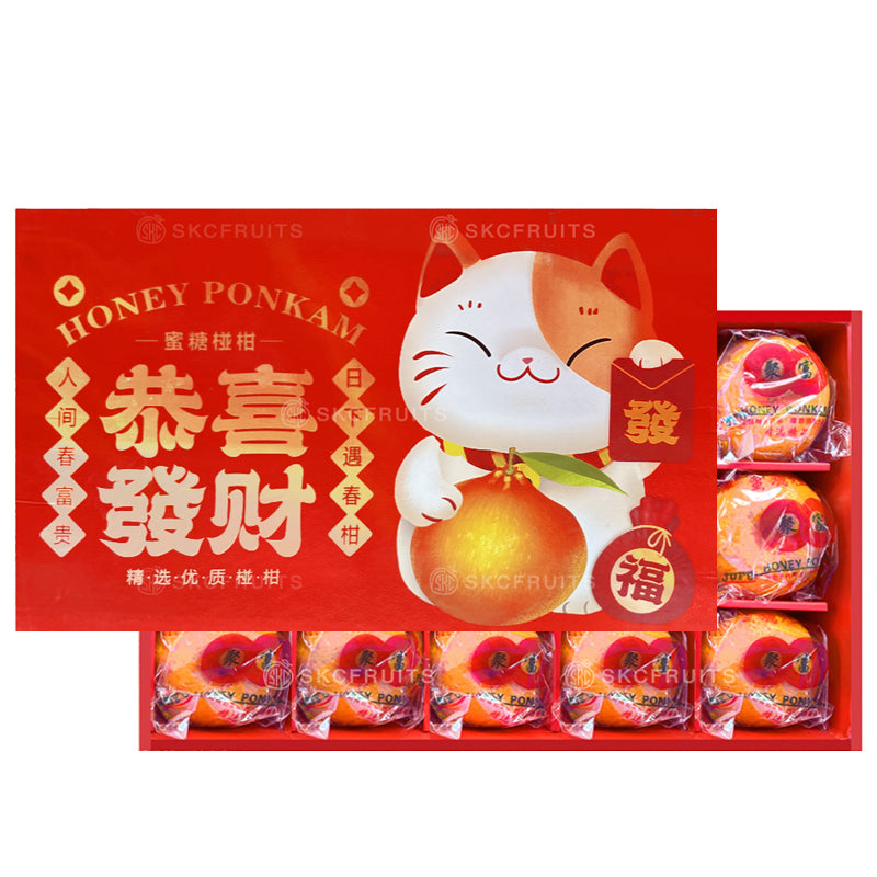 Fortune Lucky Cat Ponkan 招财进宝猫椪柑 - 15pcs