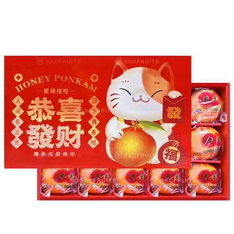 Fortune Lucky Cat Ponkan 招财进宝猫椪柑 - 15pcs