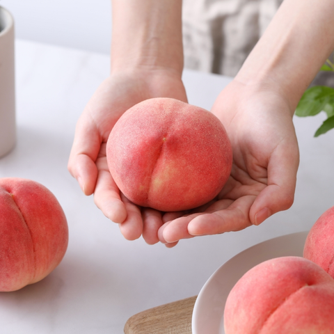 Yamanashi Greenhouse White Peaches