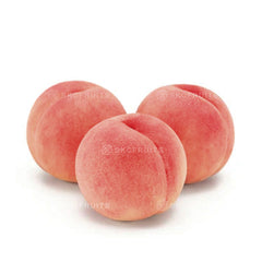 Yamanashi Hikawa Hakuhou White Peach