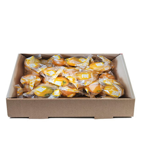 Individually Packed Kumquat