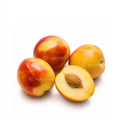 Australia Lollipop Golden Plumcots with green yellow skin