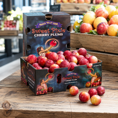 Australia Sweet Pixie Cherry Plums with sweet juicy flavour