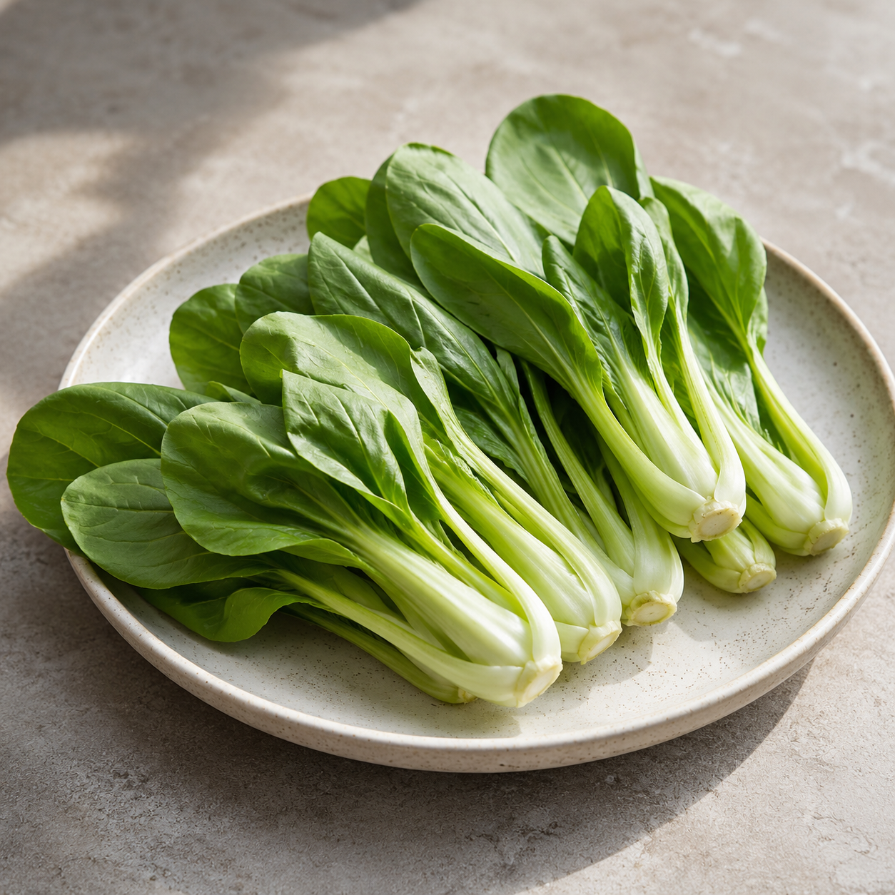 Baby bok choy oyster sauce vegetable for Chinese-style home cooking