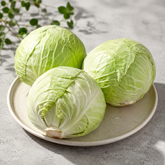 Bao cai cabbage for stir-fries soups curries and coleslaw