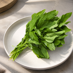 Bayam tajam from Malaysia with fresh green spinach-style leaves