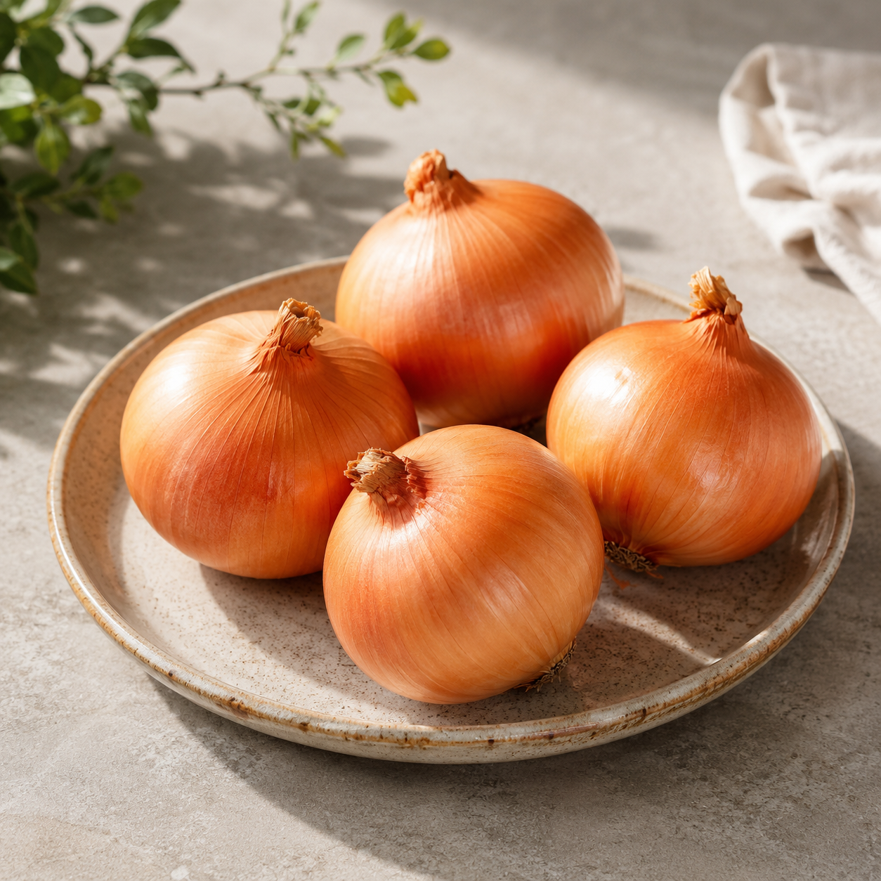 Big onion in Singapore for home cooking and vegetable delivery