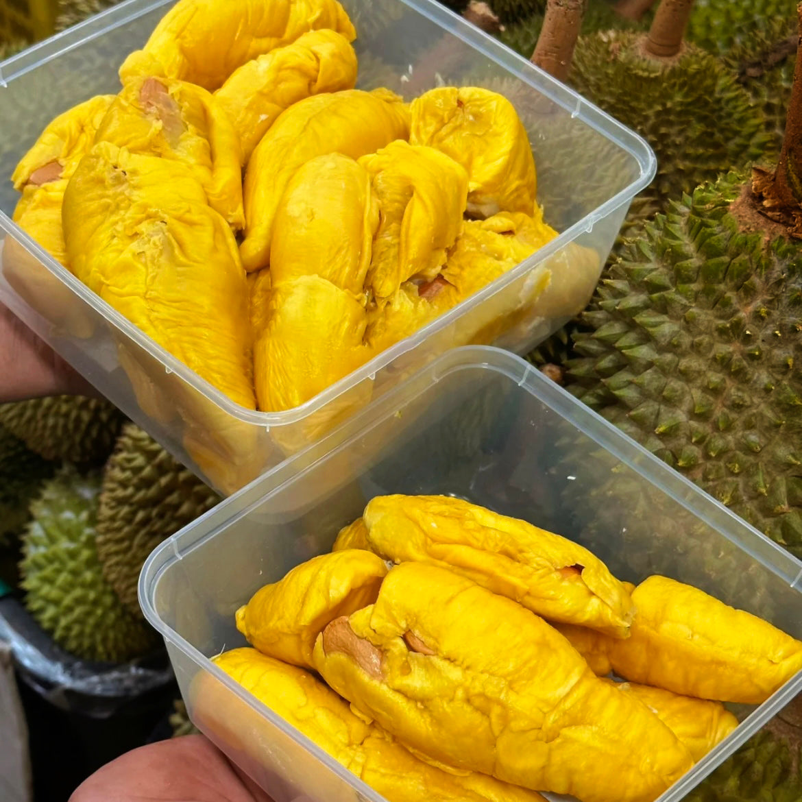 Black Gold MSW durian style with rich bittersweet flavour