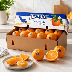 Sweet juicy Blue Jay navel orange segments served on a fruit platter