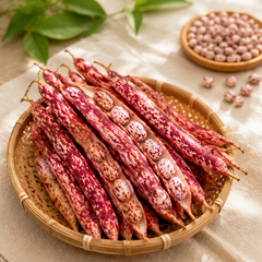Borlotti Beans with cream white red speckled beans