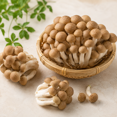Bunashimeji mushroom also known as brown beech mushroom and 鴻喜菇