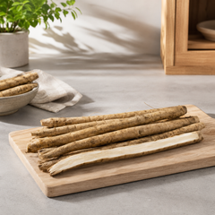 Fresh burdock root for kinpira gobo soups stir-fries and tea