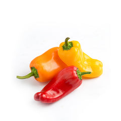 Sweet Mini Peppers (Baby Capsicums)