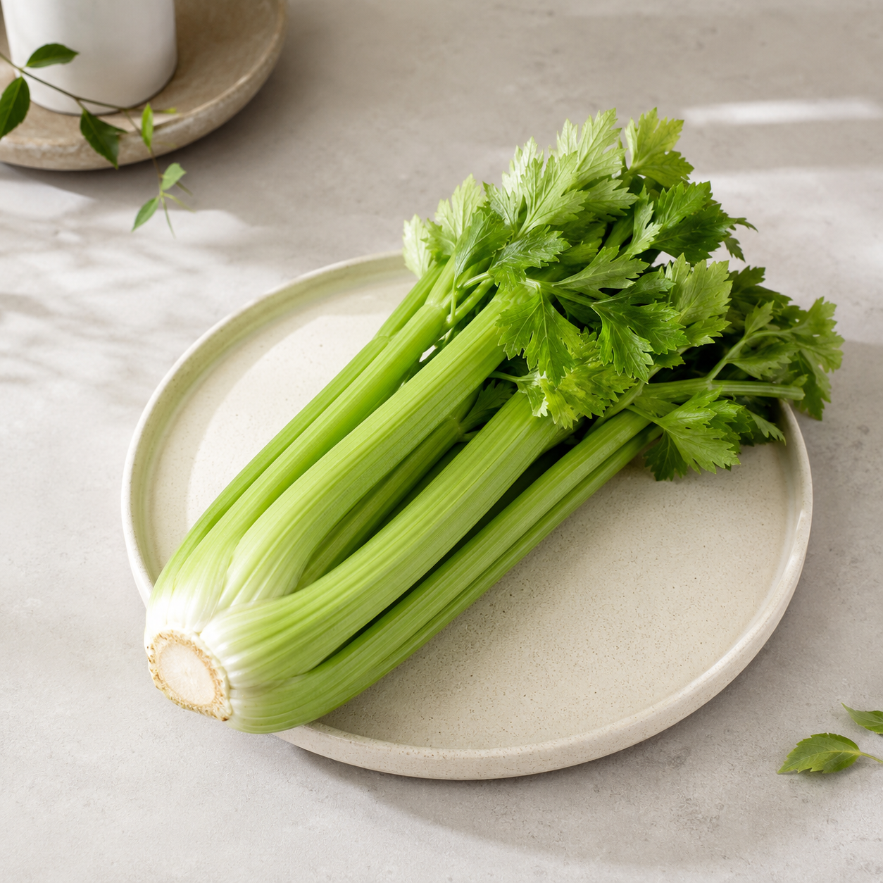 Fresh celery juice Singapore ingredient for green juice blends