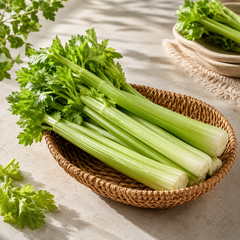 Celery sticks cut from fresh celery vegetable for dips and salads