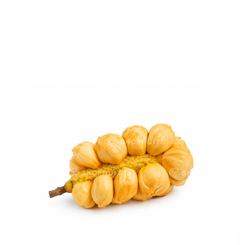Cempedak durian fruit showing aromatic yellow-orange flesh