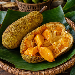 Comparison of cempedak vs jackfruit vs durian tropical fruits
