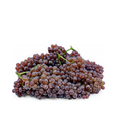 Seedless Champagne Grapes