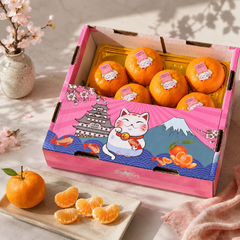 China Sakura Mikan Mandarin Orange for Singapore delivery