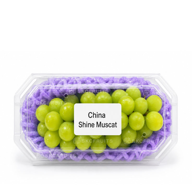 China Shine Muscat Seedless Grapes with bright green berries