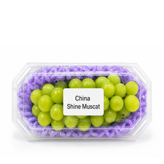 China Shine Muscat Seedless Grapes with bright green berries