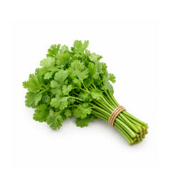 Chinese parsley 香菜 with tender green leaves for soups and curries
