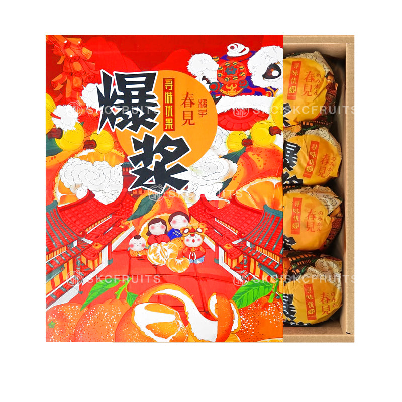 Close-up of Chun Jian Orange Pa Pa Gan showing juicy easy-peel citrus flesh
