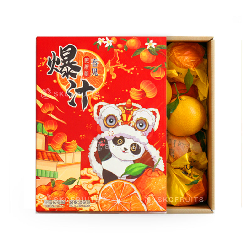 Chun Jian Orange Pa Pa Gan in premium citrus packaging
