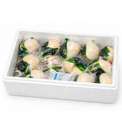 Coconut jelly in coconut husk in Singapore for desserts and bulk order
