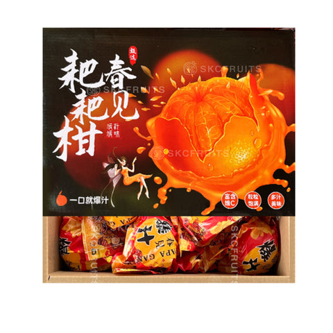Chun Jian Orange (Pa Pa Gan) 春见粑粑柑 1 box