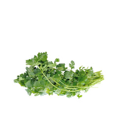Coriander