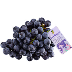 Cordoma Candy Crunch grapes with dark red purple black seedless berries
