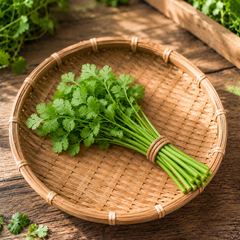 Coriander root and stems for fragrant curry paste soups and marinades